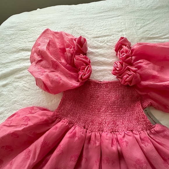 Sister Jane Dream Pink Dress with Roses Small & XS NWT - Picture 5 of 9